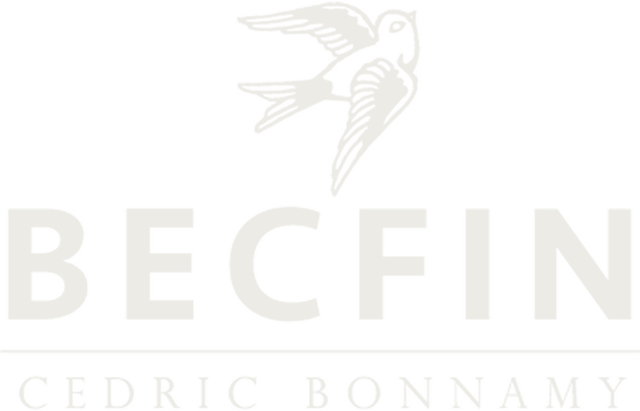 Logo Bec Fin